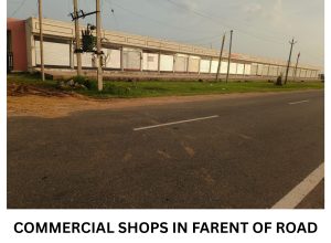 ROYAL CITY_page-0007