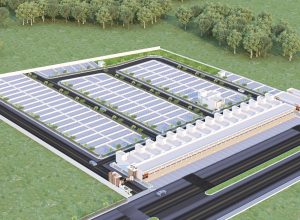 WhatsApp Image 2025-09-15 at 11.13.29 PM (1)