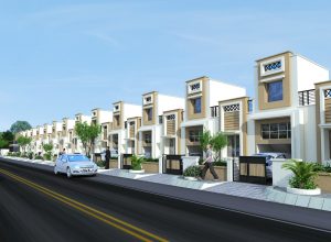 WhatsApp Image 2025-09-15 at 11.13.31 PM (1)