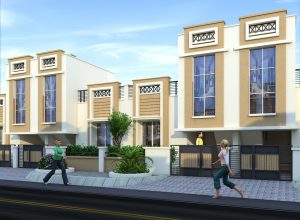 WhatsApp Image 2025-09-15 at 11.13.32 PM