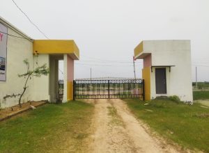 WhatsApp Image 2025-09-15 at 11.13.36 PM